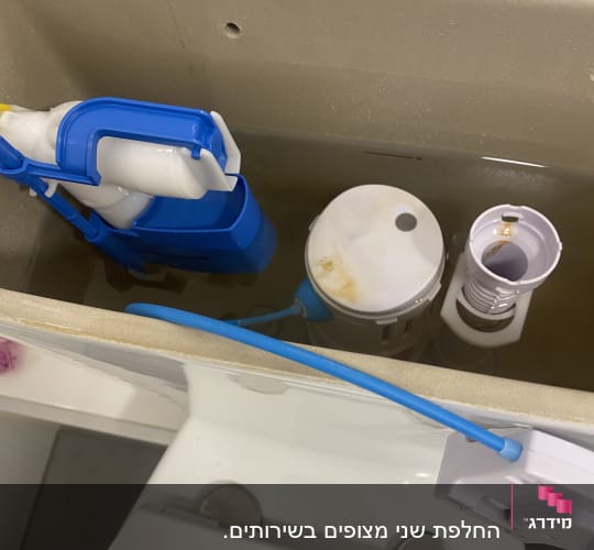 מיכל שירותים עם מנגנון הדחה כחול ולבן